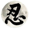 Logo ninjutsushop com