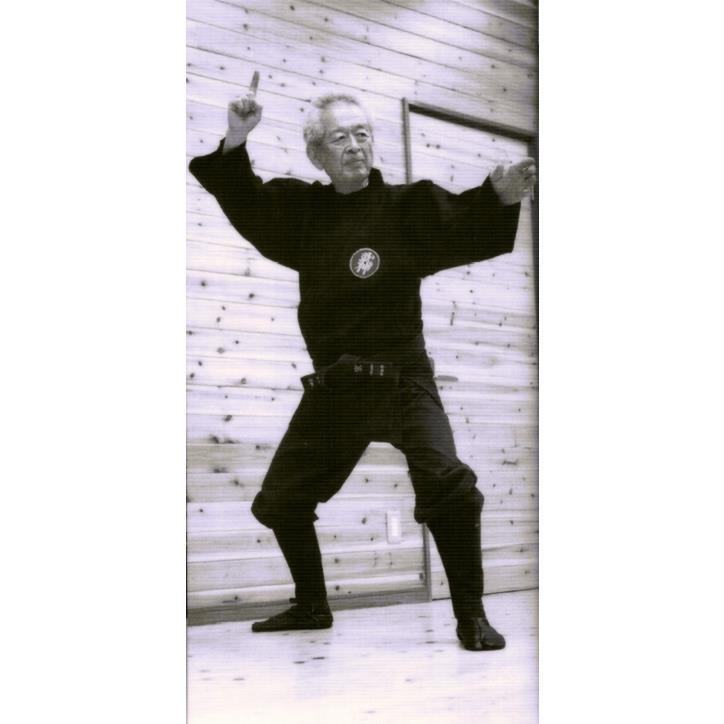 Maitre Hatsumi Kamae