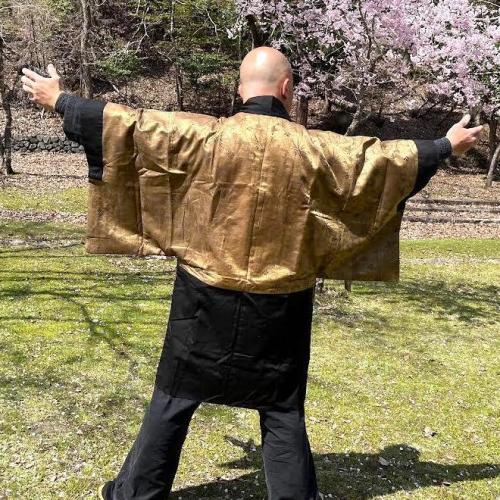 Antique haori soie noire umebachi montsuki sakura guruma homme