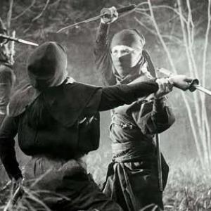 Ninjutsushop ninja art